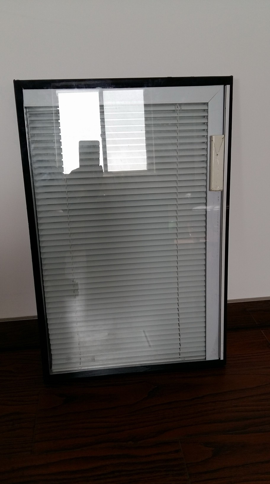 window-integrated blinds.jpg